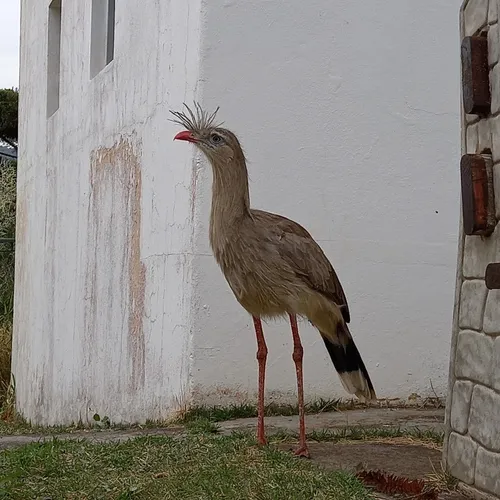 Mirante do Cristo, Socorro, São Paulo, Brasil