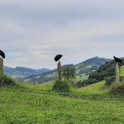 Pesqueiro dos Pereiras, Socorro, São Paulo, Brasil