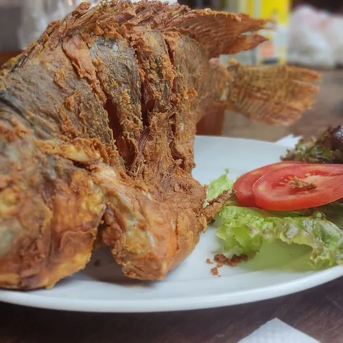 Pesqueiro dos Pereiras, Socorro, São Paulo, Brasil