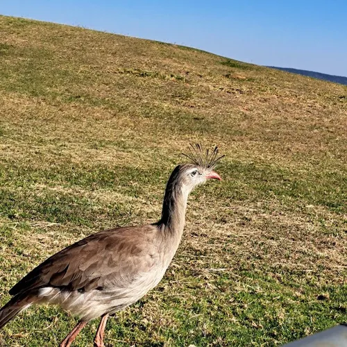 Pico da Cascavel (CVLE), Socorro, São Paulo, Brasil