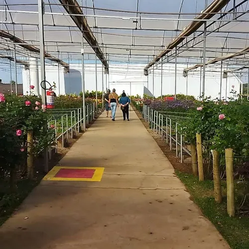 Torre do Relógio, Holambra, São Paulo, Brasil