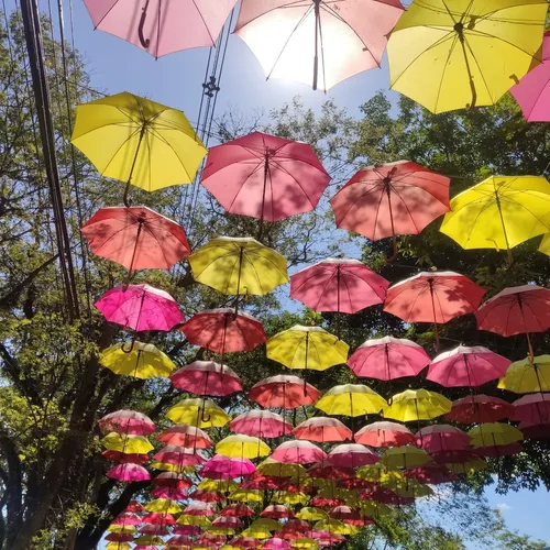 Boulevard Holandês, Holambra, São Paulo, Brasil