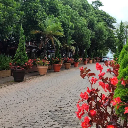 Boulevard Holandês, Holambra, São Paulo, Brasil