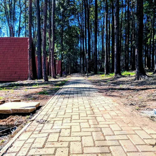 Praça dos Coqueiros, Holambra, São Paulo, Brasil