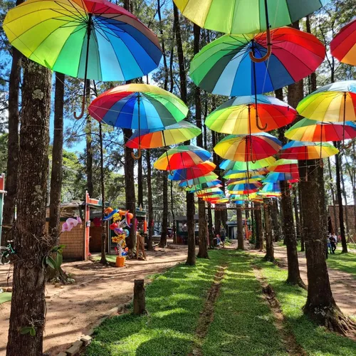 Parque Van Gogh, Holambra, São Paulo, Brasil