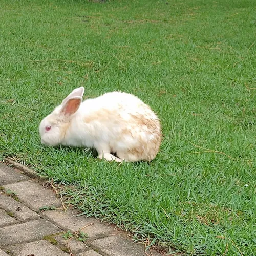 Parque Van Gogh, Holambra, São Paulo, Brasil