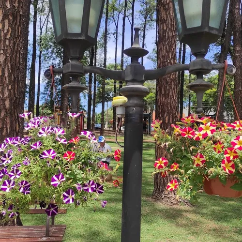 Parque Van Gogh, Holambra, São Paulo, Brasil