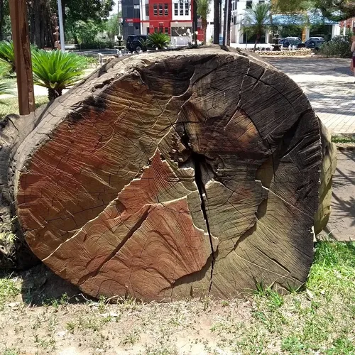 Praça dos Pioneiros, Holambra, São Paulo, Brasil