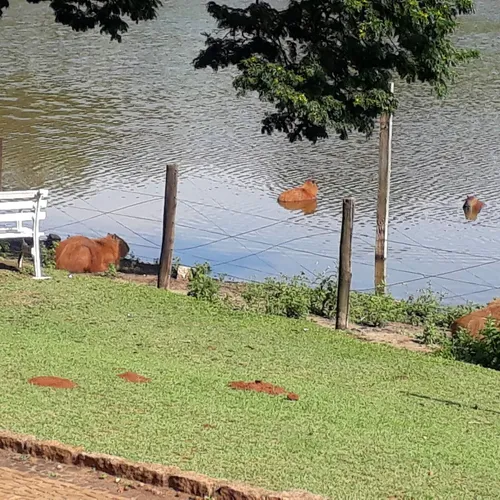 Lago Vitória Régia, Holambra, São Paulo, Brasil