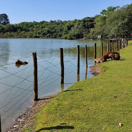 Lago Vitória Régia, Holambra, São Paulo, Brasil