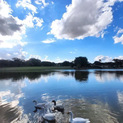 Lago Vitória Régia, Holambra, São Paulo, Brasil