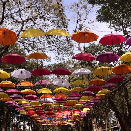 Guarda-chuvas de Holambra, Holambra, São Paulo, Brasil