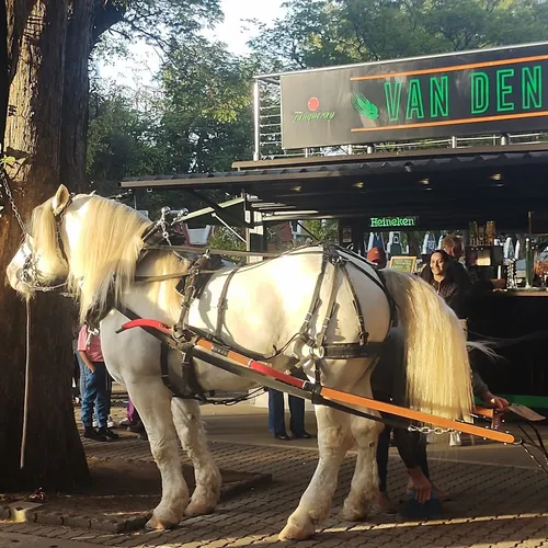Guarda-chuvas de Holambra, Holambra, São Paulo, Brasil