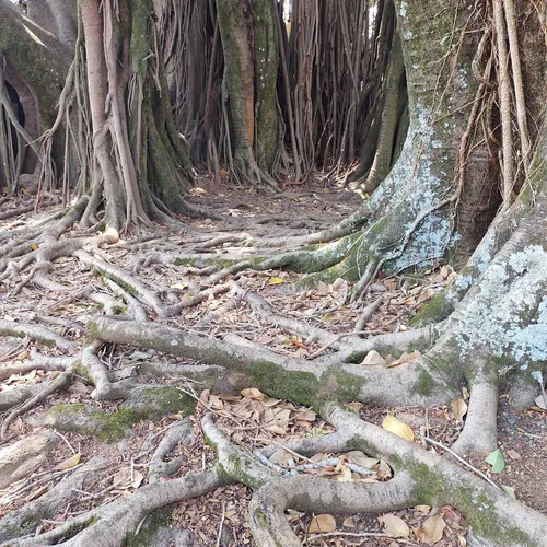 Clube Fazenda Ribeirão, Holambra, São Paulo, Brasil