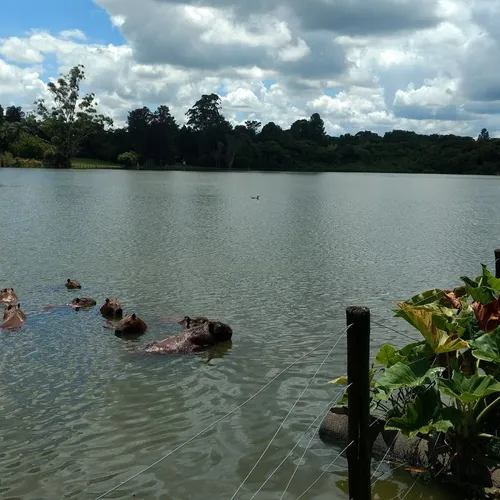 Clube Fazenda Ribeirão, Holambra, São Paulo, Brasil