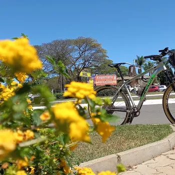 Holambra, São Paulo, Brasil