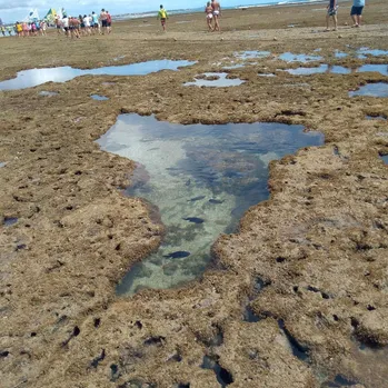Ipojuca, Pernambuco, Brasil