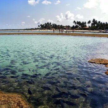 Ipojuca, Pernambuco, Brasil