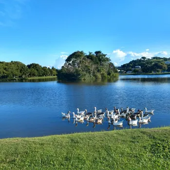 Castro, Paraná, Brasil