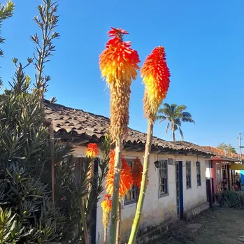 Ouro Preto, Minas Gerais, Brasil