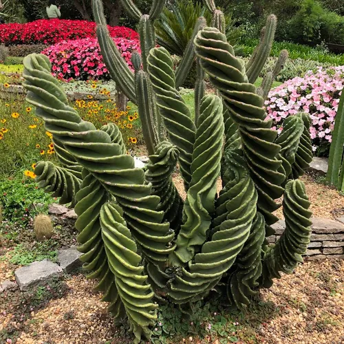 Parque Amantikir, Campos do Jordão, São Paulo, Brasil