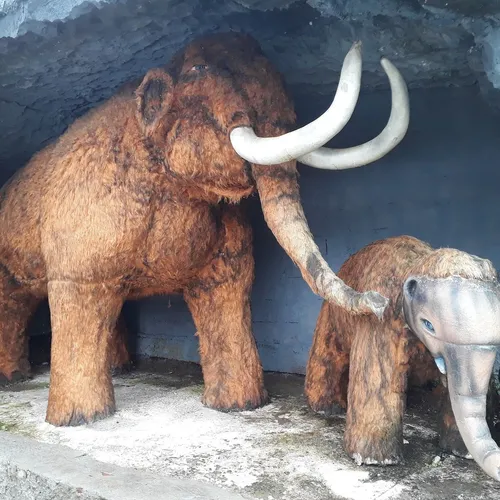 Morro do Elefante, Campos do Jordão, São Paulo, Brasil