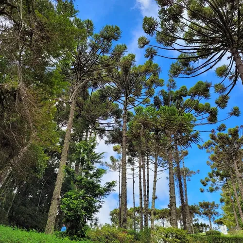 Auditório Claudio Santoro, Campos do Jordão, São Paulo, Brasil
