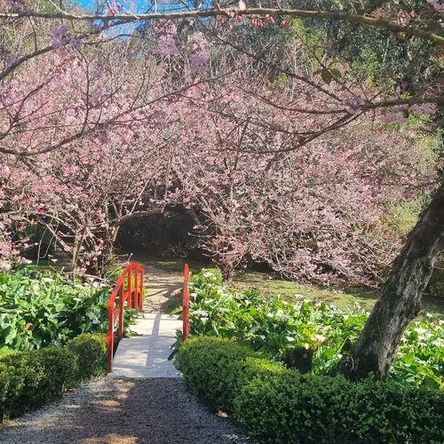 Parque da Cerejeira de Campos do Jordão, Campos do Jordão, São Paulo, Brasil