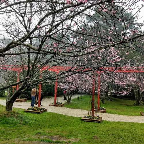 Parque da Cerejeira de Campos do Jordão, Campos do Jordão, São Paulo, Brasil