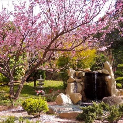 Parque da Cerejeira de Campos do Jordão, Campos do Jordão, São Paulo, Brasil