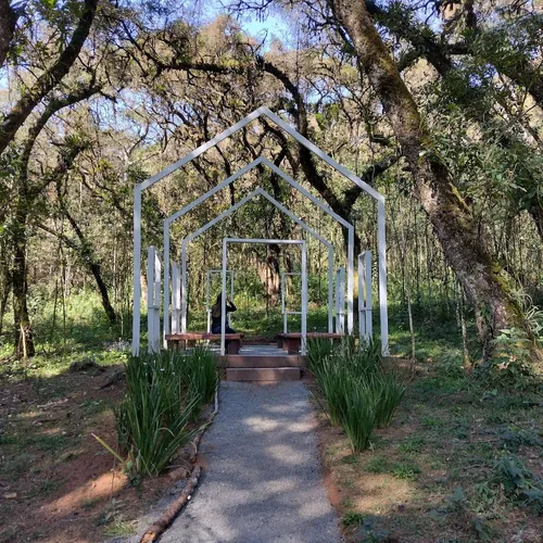 Bosque do Silêncio, Campos do Jordão, São Paulo, Brasil