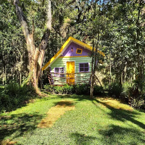 Bosque do Silêncio, Campos do Jordão, São Paulo, Brasil