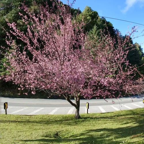 Vista Chinesa ou Mirante Belvedere, Campos do Jordão, São Paulo, Brasil