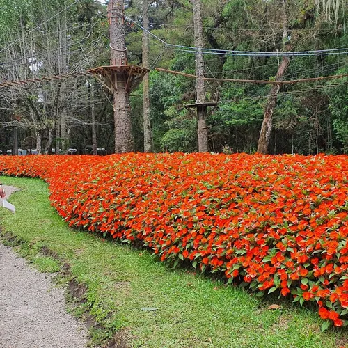 Choperia Baden Baden, Campos do Jordão, São Paulo, Brasil