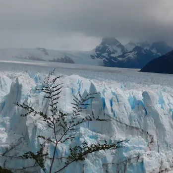 El Calafate, Santa Cruz, Argentina