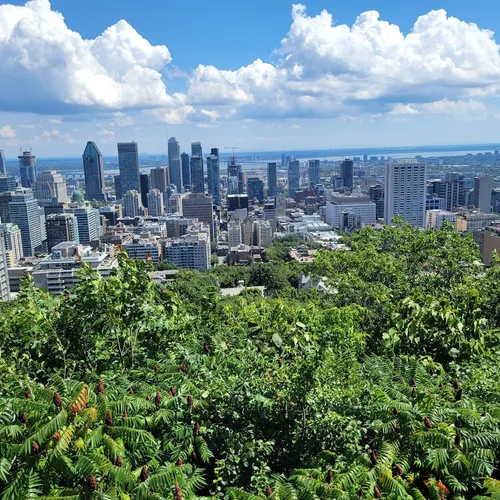 Parque Mont-Royal, Montreal, Quebec, Canadá