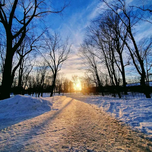 Parque Mont-Royal, Montreal, Quebec, Canadá