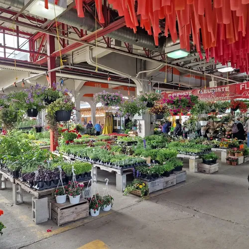 Marché Jean-Talon, Montreal, Quebec, Canadá