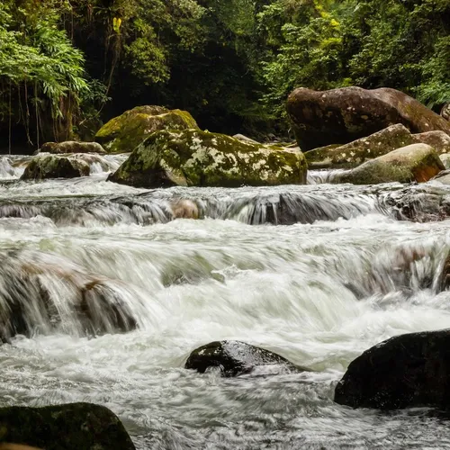 Estrada da Graciosa, Morretes, Paraná, Brasil