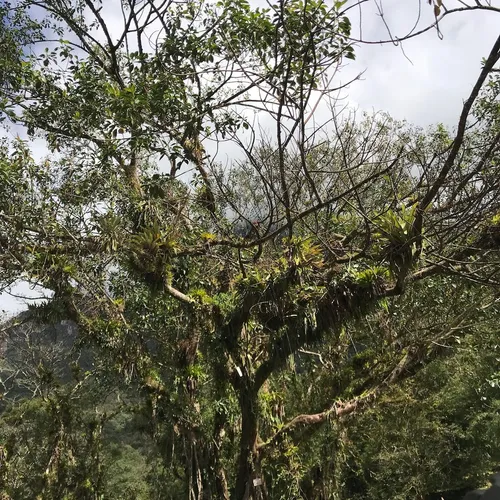Curva da Ferradura (parada na Estrada da Graciosa), Morretes, Paraná, Brasil