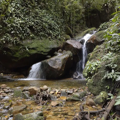 Curva da Ferradura (parada na Estrada da Graciosa), Morretes, Paraná, Brasil