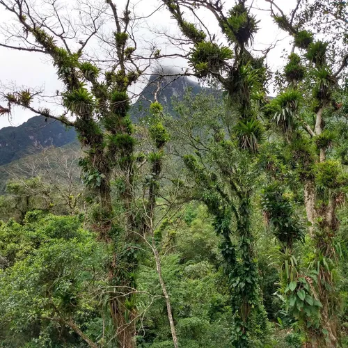 Curva da Ferradura (parada na Estrada da Graciosa), Morretes, Paraná, Brasil