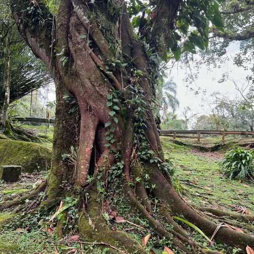 Curva da Ferradura (parada na Estrada da Graciosa), Morretes, Paraná, Brasil