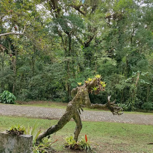 Ekôa Park, Morretes, Paraná, Brasil