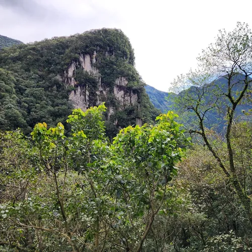Passeio de Trem de Curitiba a Morretes, Morretes, Paraná, Brasil